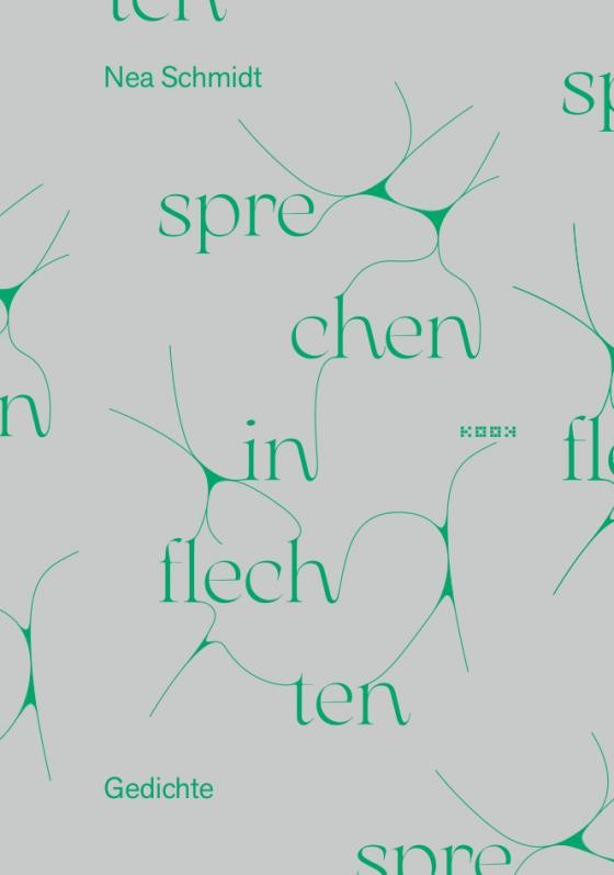 sprechen-in-flechten_9783948336349